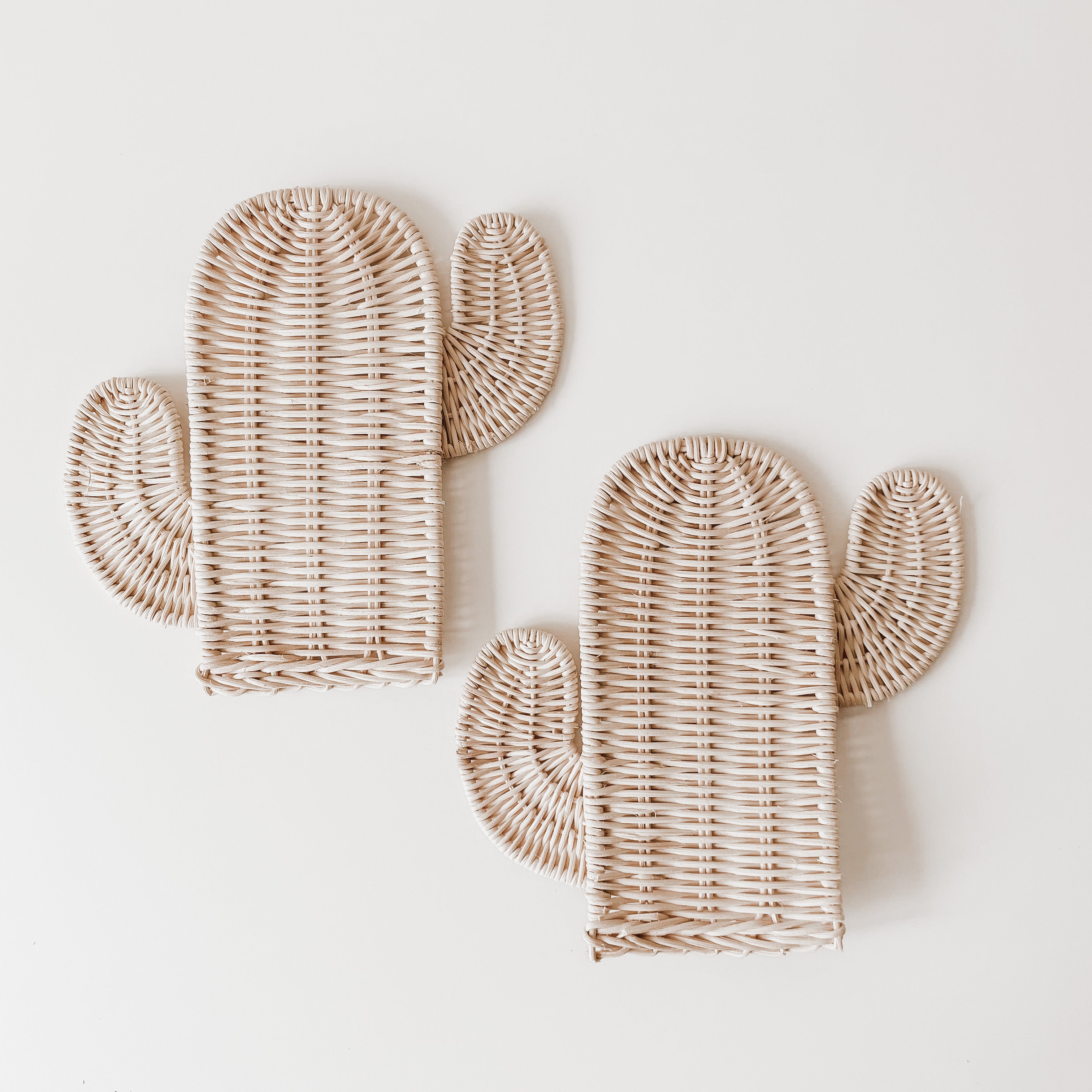 Cactus Wicker Wall Decor