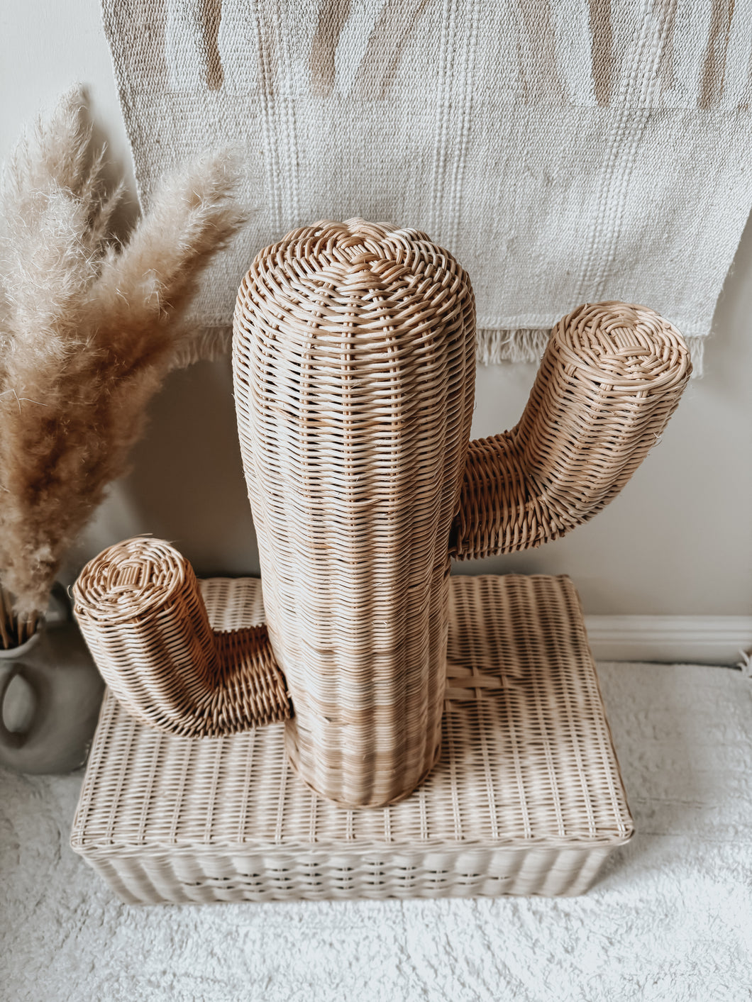 Wicker Desert Cactus